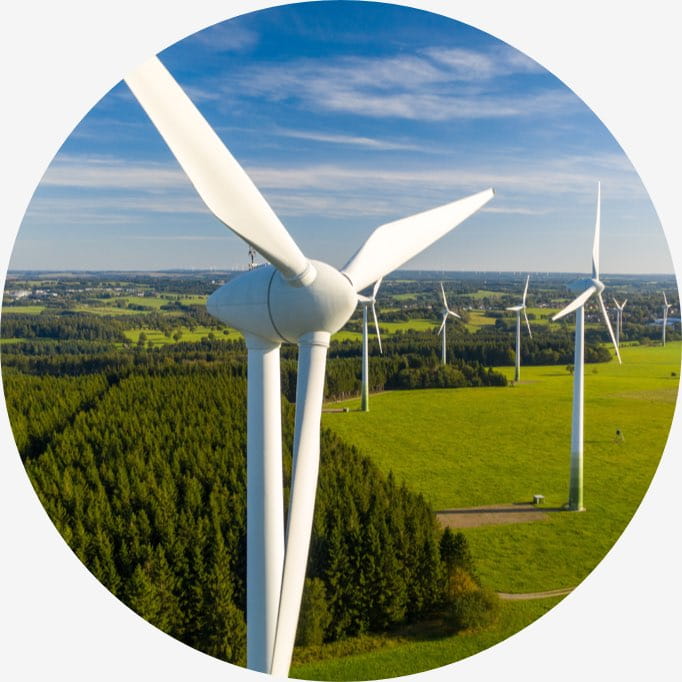 premier herb process