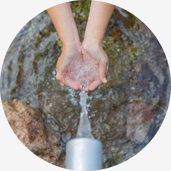 premier herb process