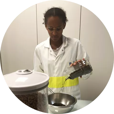 premier herb process