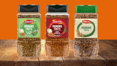 oignon-frits-category-400
