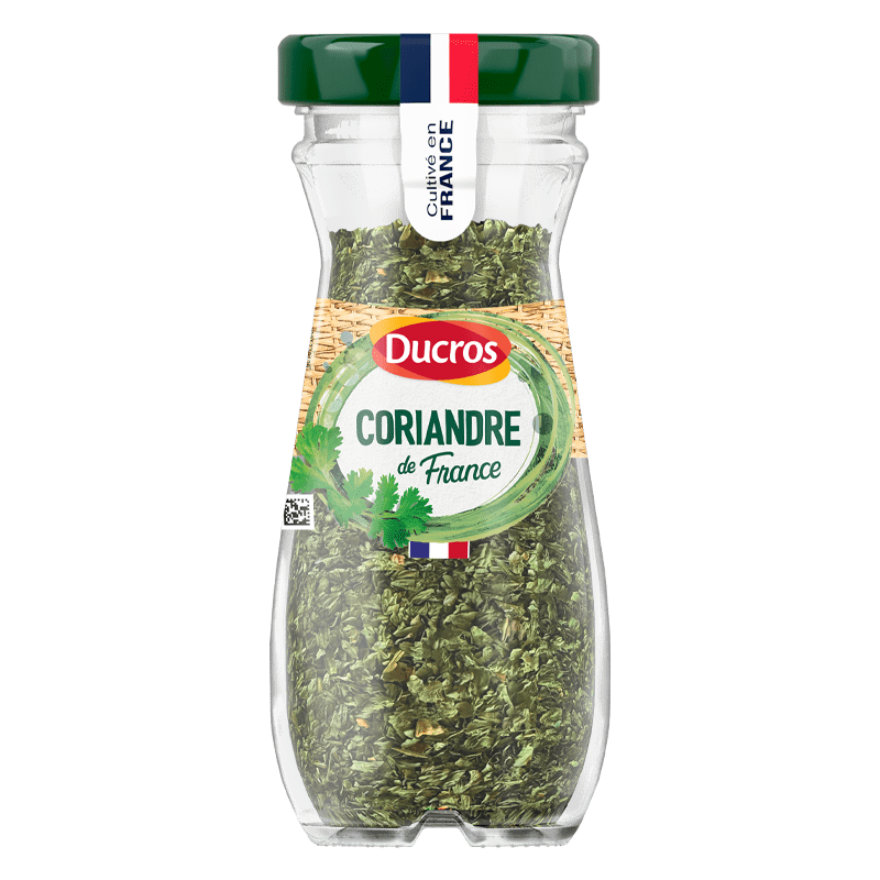 coriandre