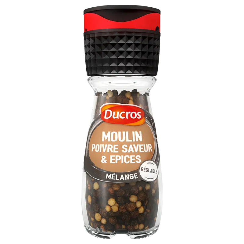 Moulin-poivre-saveur-et-epices